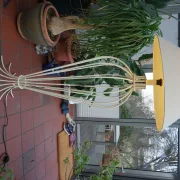 Stehlampe im Stil einer Mille Pratt von Jean Royer